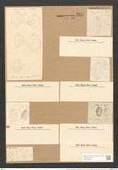 Cocconeis pseudomarginata var. intermedia Grun. (de-Toni-Nr.: Genus 40, Species 1851) Zeichnungen Sammlung Grunow Nr. 3671 (NHMW-BOT-W0371287)